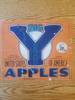 Big Y Doc Apple Small font US