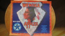 Wenoka Blue Star