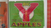 Big Y Fancy
