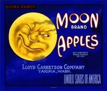 Moon 40 Lb when packed