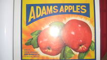 Adams Apple