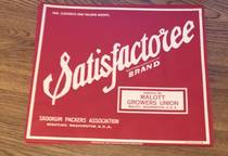 Satisfactoree