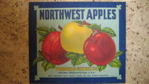 Northwest Apples
