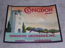 Congdon Castle