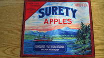 Surety