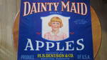 Dainty Maid Blue