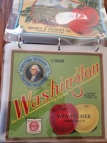 Washington C Grade Fruit Crate Label
