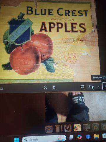 Blue Crest Washington Apples Lewiston Fruit Crate Label