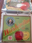 Washington C Grade