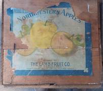 Northwestern Apples 40#