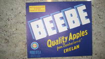 Beebe