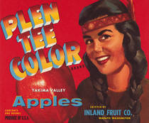 Plen Tee Color