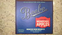 Beebe