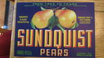 Sundquist