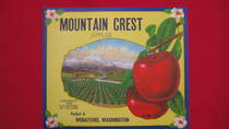 Mountain Crest