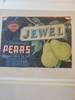 Jewel Roche Fruit Co Inc