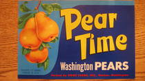 Pear Time