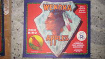 Wenoka Peshastin Fruit Fcy 40s