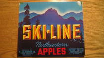 Ski-Line