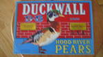 Duckwall D-B