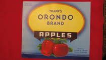 Orondo
