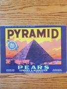 Pyramid 42 lbs