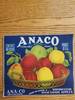 Anaco Portland Large Contents