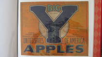Big Y