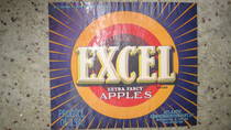 Excell Traung
