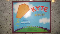 Kyte