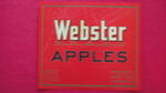 Webster