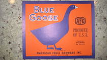 Blue Goose Yakima