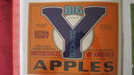 Big Y