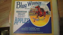Blue Winner 1922