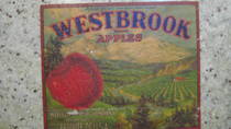 Westbrook