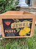 Jewel Yellow Pear W.E. Roche Fruit