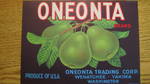 Oneonta