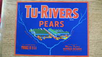 Tu Rivers