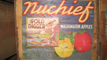 Nuchief Gold Digger