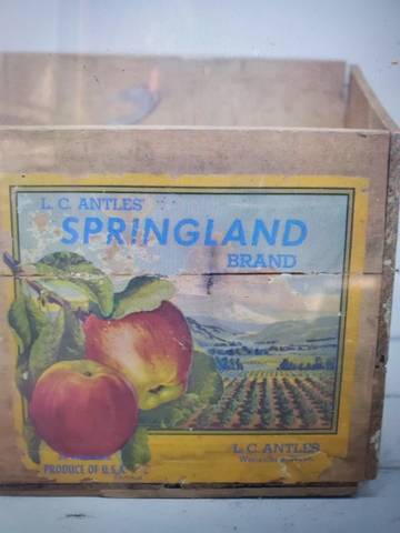Springland stock Fruit Crate Label