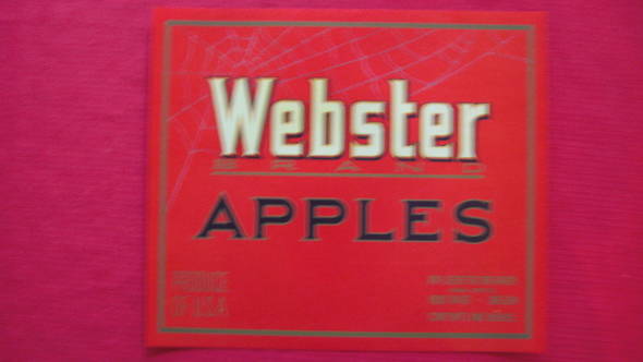 Webster Fruit Crate Label