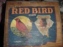 Red Bird