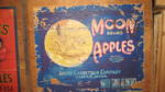 Moon 1 bushel