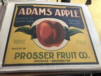 Adams Apple Old