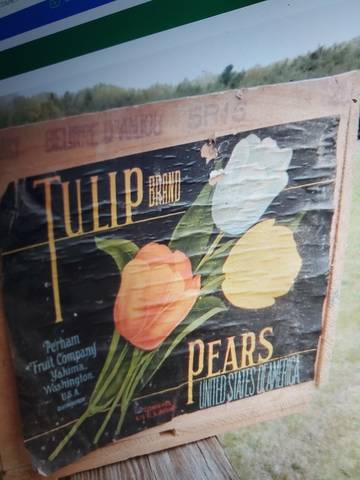      Tulip Perham Fruit Company Fruit Crate Label