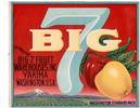 Big 7