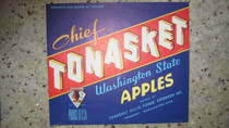 Chief Tonasket