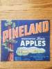 Pineland Blue
