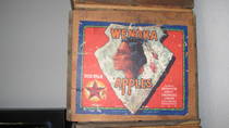 Wenoka Red Star