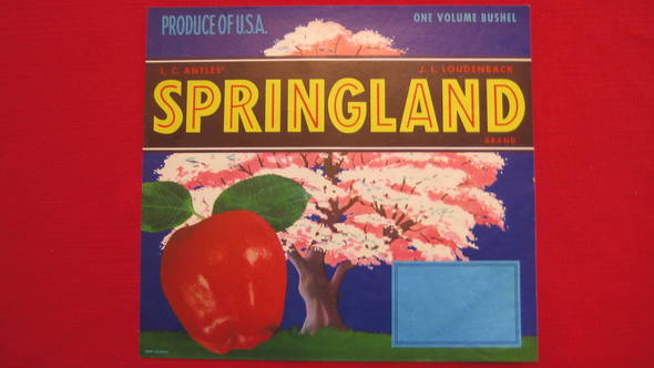 Springland Fruit Crate Label